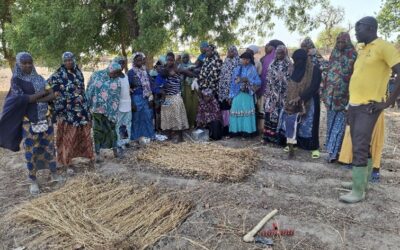 Formation des 25 femmes bénéficiaires du jardin maraîcher en technique de production maraîchère dans le cadre du projet  » Les Petites Ailes Vertes du Sahel” (PAVS) »