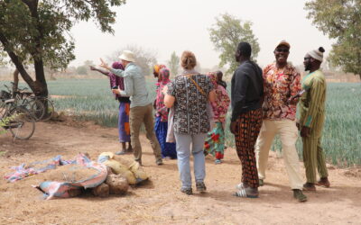 𝗡𝗮𝘁𝘂𝗿𝗮𝗺𝗮 𝗮𝘂𝘅 𝗰𝗼̂𝘁𝗲́𝘀 𝗱𝗲 𝘀𝗲𝘀 𝗽𝗮𝗿𝘁𝗲𝗻𝗮𝗶𝗿𝗲𝘀 𝗽𝗼𝘂𝗿 𝗹𝗮 𝗿𝗲𝘀𝘁𝗮𝘂𝗿𝗮𝘁𝗶𝗼𝗻 𝗱𝗲𝘀 𝗵𝗮𝗯𝗶𝘁𝗮𝘁𝘀 𝗲𝘁 𝗹𝗮 𝗽𝗿𝗼𝘁𝗲𝗰𝘁𝗶𝗼𝗻 𝗱𝗲𝘀 𝗼𝗶𝘀𝗲𝗮𝘂𝘅 𝗺𝗶𝗴𝗿𝗮𝘁𝗲𝘂𝗿𝘀