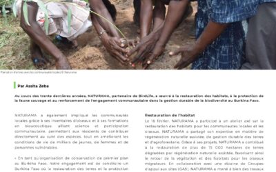 Le premier numéro du bulletin d’information de BirdLife International Africa de l’année 2026 est désormais disponible